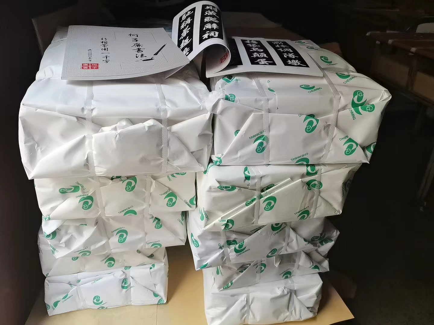 麦积画册